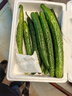 新鮮黃瓜現(xiàn)摘現(xiàn)發(fā)新鮮蔬菜生鮮可生吃炒菜非水果黃瓜 囤貨裝 5斤 凈重 曬單實(shí)拍圖