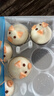 思念兒童卡通包300g*2袋共20只（蜜香紅豆/臻品奶黃）萌趣造型 曬單實(shí)拍圖