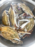 梭子蟹鮮活特大野生舟山大螃蟹海鮮新鮮冷凍海蟹水產(chǎn)飛蟹白蟹順豐 7-9兩/只 【凈重5斤特大梭子蟹】 曬單實拍圖