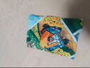 PISEN品勝相機(jī)百折布魔術(shù)布百貼布 微單反相機(jī)包裹布化妝包ipad內(nèi)膽包配件收納包 梵高系列農(nóng)場(chǎng)45cm 曬單實(shí)拍圖