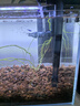 AMTRA TECHNIK德國安彩壁掛過濾器ex350小型魚缸過濾器烏龜缸壁掛式凈水 EX350 標(biāo)準(zhǔn)版【內(nèi)含濾材】 曬單實拍圖