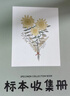 曇蓓漫植物標(biāo)本收集冊(cè)兒童學(xué)生DIY樹(shù)葉干花相冊(cè)創(chuàng)意覆膜粘貼式手工相框 【小號(hào)/A5】尺寸：22*9.5*4cm 【封面太陽(yáng)花】20張/40面 曬單實(shí)拍圖