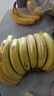精品云南香蕉高山香蕉現(xiàn)摘新鮮水果甜生青香蕉banana自然熟綠皮 精品高山蕉 9斤 曬單實(shí)拍圖