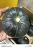 京覓山東貝貝南瓜 凈重4.5斤 單果250g起 板栗香小南瓜 源頭直發(fā) 曬單實(shí)拍圖