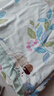 金號（KING SHORE）A類100%純棉四件套新疆棉床上用品床單被套200*230cm 莫妮卡 曬單實拍圖