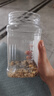 三只松鼠罐裝每日堅果500g 干果核桃腰果葡萄干休閑零食 團購送禮 曬單實拍圖