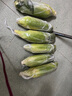 京鮮生云南水果玉米5斤 鮮甜玉米棒 甜脆多汁 新鮮蔬菜 源頭直發(fā)包郵 曬單實(shí)拍圖