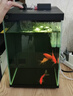 米家智能桌面魚缸小米生態(tài)魚缸小型智能專業(yè)背濾一體缸自循環(huán) 曬單實(shí)拍圖