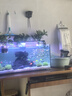 BIOZYM百因美魚飼料小型魚魚糧金魚孔雀魚斗魚熱帶魚觀賞魚紅蟲貼片魚食 曬單實拍圖