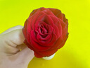 巴拉巴拉襪子夏季網(wǎng)眼兒童運(yùn)動(dòng)襪透氣男童女童小童寶寶五雙裝208224172201 曬單實(shí)拍圖