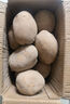 貴州新鮮洋芋貴州土豆威寧農家洋芋新土豆黃皮洋芋馬鈴薯便宜批發(fā) 9.5斤精選大果（凈重） 曬單實(shí)拍圖