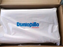 鄧祿普（Dunlopillo）ECO波浪枕 斯里蘭卡進口天然乳膠枕頭 頸椎枕  曬單實拍圖