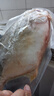 環(huán)球水產(chǎn)冷凍南海金鯧魚(yú)2斤/2條 生鮮魚(yú)類(lèi) 火鍋 深海魚(yú) 海鮮水產(chǎn) 家庭聚餐 曬單實(shí)拍圖