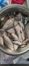 日本進口大力馬PE魚線500米編織漁網(wǎng)線 300米12編灰色 3號 曬單實拍圖