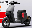 九號（Ninebot）九號電動新品Fz 110電動自行車9號智能鋰電【門店自提】 到門店選顏色 曬單實拍圖