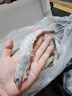 蝦有蝦途青島大蝦無冰新鮮海蝦白蝦鮮活冷凍大蝦批發(fā)3.6斤凈重 青島大蝦 3.6斤(凈重)  只只分離 18-20cm【超大蝦皇】無冰 曬單實拍圖