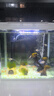 寵街坊玻璃魚缸過濾器三合一水泵增氧泵水族箱桌面客廳送禮生態(tài)魚缸380 曬單實拍圖