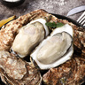 貝司令【源頭直發(fā)】鮮活乳山生蠔牡蠣貝類聚會燒烤6XL凈重4.5斤端午聚餐 曬單實拍圖