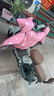 綠源電動(dòng)自行車(chē)LIVA7豪華版【續航70km-48V24A星恒鋰電】NFC智能解鎖前碟后陶液冷電機保十年 青 曬單實(shí)拍圖