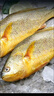 鴻順【冰鮮】黃花魚4條4斤 生鮮魚類 寧德大黃魚 地標產(chǎn)品 源頭直發(fā) 曬單實拍圖