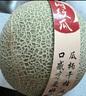 京鮮生 玫瓏網(wǎng)紋瓜 凈重4-5斤 2粒 源頭直發(fā)包郵 曬單實(shí)拍圖