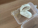 英氏（YEEHOO）寶寶自主進食輔食勺子一歲學吃飯訓練習兒童PPSU餐具彎頭叉勺 曬單實拍圖