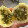 北道主樹上熟欽蜜9號百香果（順豐直發(fā)）生鮮水果整箱 芭樂香味精選禮盒 5斤裝 【特大果丨單果80-90g】 曬單實拍圖