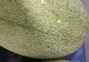 京鮮生 新疆哈密瓜 單果2.3斤起 凈重8-9斤 2-4粒裝 源頭直發(fā)包郵 曬單實(shí)拍圖