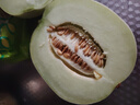 新鮮頭茬香甜冰激淋玉菇甜瓜當季新鮮水果 美味可口3-4斤（1-2粒） 曬單實拍圖