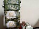babycare金山茶花拉拉褲XL34片*2包(12-17kg)嬰兒尿不濕超薄透氣花苞褲 曬單實(shí)拍圖