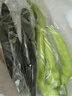 圓白菜約1kg 曬單實(shí)拍圖