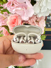 韶音（SHOKZ）OpenDots ONE動鈦圈開放式藍(lán)牙耳機(jī)耳夾式耳機(jī)藍(lán)牙跑步運(yùn)動無線E310七夕禮物 星際白 曬單實(shí)拍圖