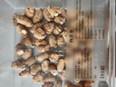 同仁堂品牌 北京同仁堂加拿大進(jìn)口西洋參圓粒禮盒100克送父母中秋禮品盒 曬單實(shí)拍圖
