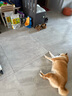 衛(wèi)仕五拼凍干海陸盛宴犬糧 狗干糧 幼成犬通用狗糧 鹿肉乳鴿 2kg*3袋 曬單實(shí)拍圖
