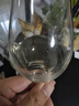 長(zhǎng)城（GreatWall）白葡萄酒 龍山山谷雷司令干白750ML*6瓶 整箱裝（原箱包裝） 曬單實(shí)拍圖