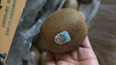 佳沛（zespri）綠奇異果特大果22-25個(gè)原箱裝單果約133-176g 水果禮盒獼猴桃 曬單實(shí)拍圖