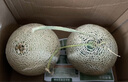 京鮮生蜜蜂授粉牛三蜜瓜網紋瓜單果1.5斤起凈重4.5-5斤 2-3粒裝源頭直發(fā) 曬單實拍圖