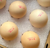 黃天鵝可生食雞蛋 4枚/單枚53g禮盒裝 生鮮雞蛋早餐源頭直發(fā) 無抗生素 曬單實(shí)拍圖