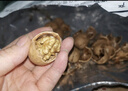 半支煙皮帶男無(wú)牙內穿腰帶男自動(dòng)扣年輕人潮流優(yōu)質(zhì)皮男商務(wù)褲帶七夕禮物 曬單實(shí)拍圖