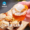 海鮮世家冷凍大號帶黃渤海扇貝肉450g 35-45粒裙邊扇貝方便菜海鮮生鮮 曬單實拍圖