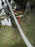 錦鯉魚活體觀賞魚活魚小型易養(yǎng)冷水淡水魚小魚苗錦鯉金魚好看錦鯉 10-12cm 六色錦鯉套餐6條 曬單實拍圖