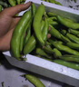 云南現摘新鮮蠶豆5斤農家?guī)ど镜亓_漢蘭花胡豆青豆莢蔬菜整箱 5斤 曬單實拍圖