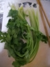 帶根香菜100g 曬單實(shí)拍圖