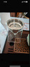憶壺茶（YIHUTEA）玻璃公道杯帶過(guò)濾網(wǎng)茶漏套裝茶具配件茶海分茶器加厚功夫茶杯大號(hào) 公道杯350ml+茶漏 曬單實(shí)拍圖