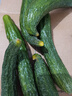 新鮮黃瓜現(xiàn)摘現(xiàn)發(fā)新鮮蔬菜生鮮可生吃涼拌炒菜刺黃瓜 凈重2500g 5斤 單根≥200g 曬單實拍圖