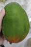 【新鮮上市】正宗攀枝花凱特芒果新鮮水果 帶箱2斤200g+ 曬單實拍圖