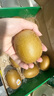 佳沛（zespri）新西蘭陽(yáng)光金奇異果 8個(gè)裝 特大果單果重約122-146g 水果獼猴桃 曬單實(shí)拍圖