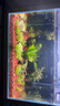 YEE超白魚缸桌面客廳生態(tài)斗金魚烏龜缸造景小型水草養(yǎng)魚玻璃裸缸40cm 曬單實(shí)拍圖