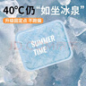 范爺家坐墊夏天冰墊涼墊辦公室久坐涼感椅墊車載座墊冰涼墊夏季降溫神器 曬單實(shí)拍圖