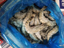 鮮京采 鮮凍大號黑虎蝦 去冰凈重2斤 31-40只/盒 斑節對蝦 曬單實(shí)拍圖